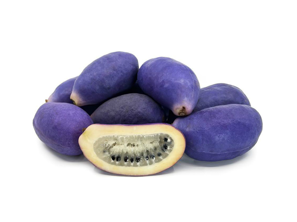 yemico product not found