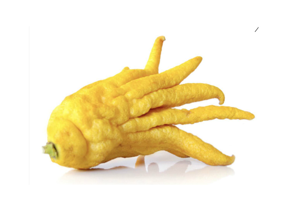 yemico product not found